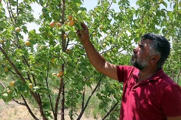 'Bugüne kadar hiç satış yapmadık ve kimseden para almadık'