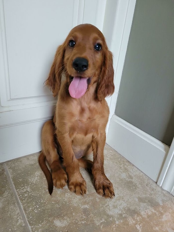 7. Приютила эту зайку