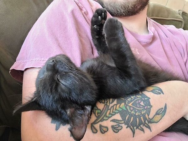 9. Это Вейдер, и у него теперь есть новый дом