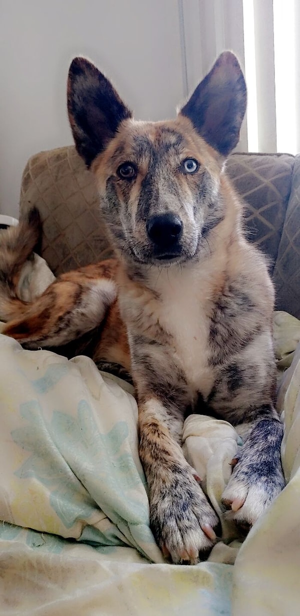 10. Ну что за красавица)