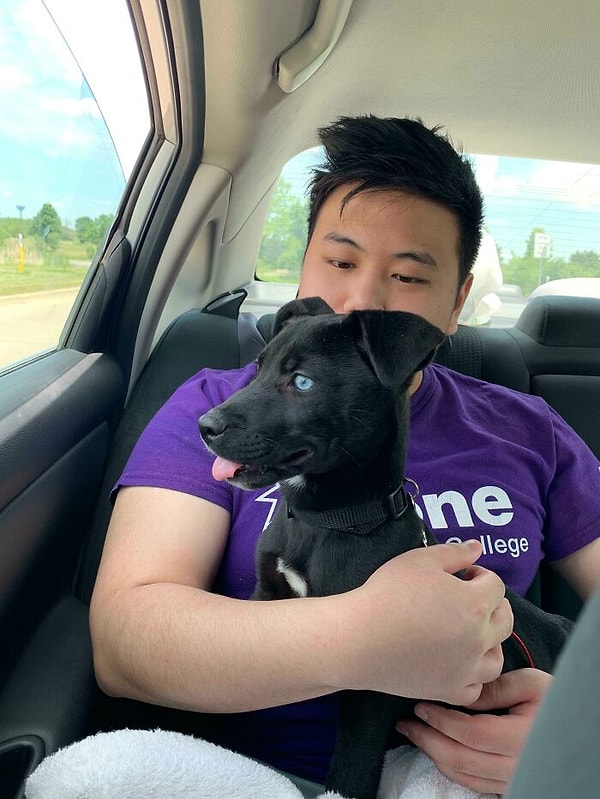 13. Всю жизнь хотел себе собачку, и вот настал этот момент