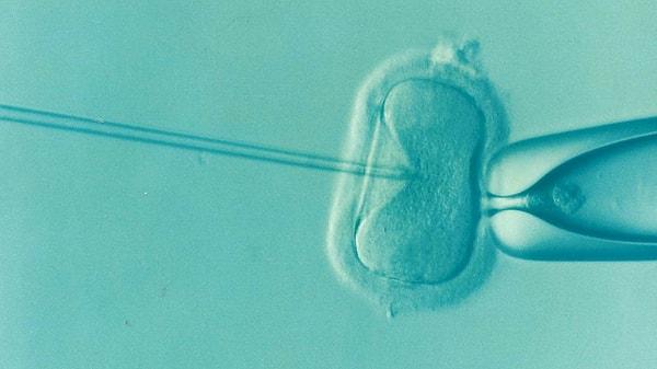 "Biz sadece kız çocuk embriyoları istediğimiz için bir hata olduğunu, başkasının bebeğini bana verdiklerini sandım. İçimdeki bebek bir anda bana uzaylı gibi gelmeye başladı..."