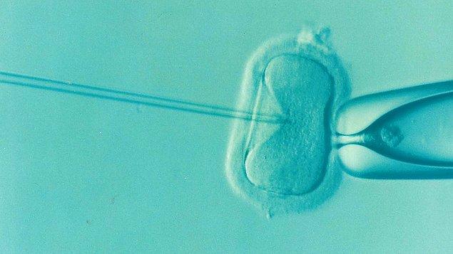 Dondurulmuş embriyolar tekrar kullanılmadan önce hangi işlemlerden geçiyor?