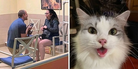 15 самых милых и трогательных фото с животными, которых спасли в этом месяце и приютили в их новый дом