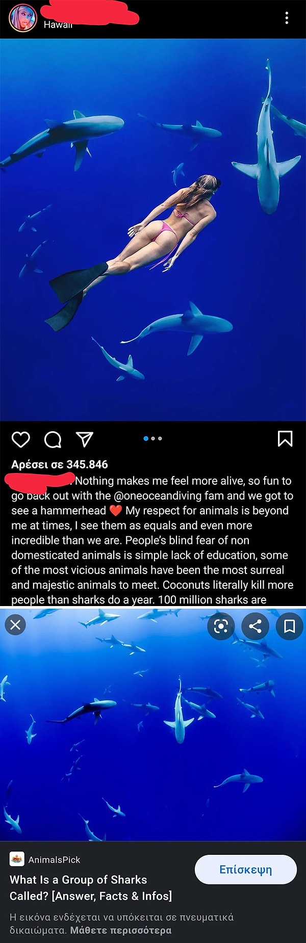 12. Лол, прифотошопила себя к акулам