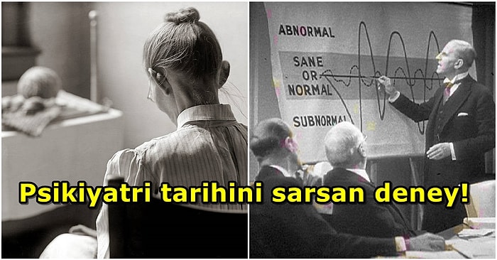 Sahte Hastaları Akıl Hastanesine Göndererek Tedavilerin Doğruluğunu Ölçen Sarsıcı Deney: Rosenhan