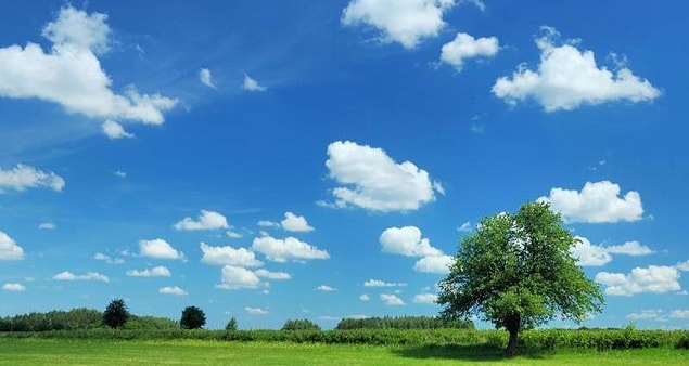 Ozon, aynı zamanda alternatifi bulunmayan çok güçlü bir dezenfektan.