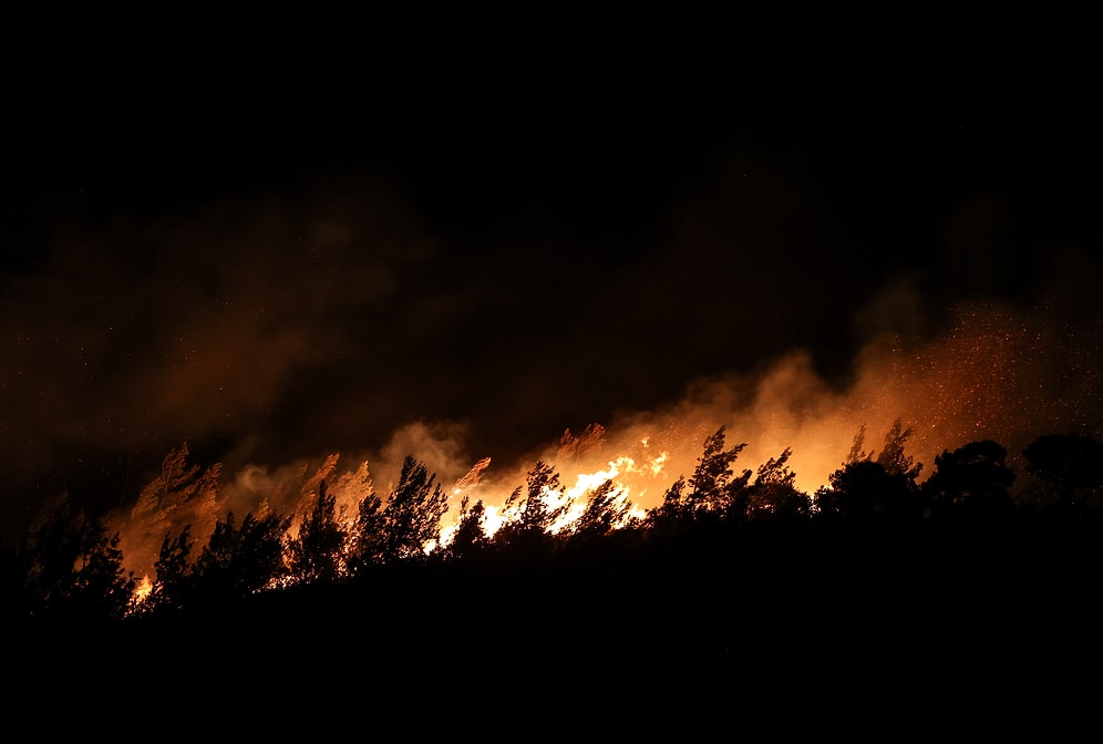 İzmir'deki Orman Yangının Nedeni Belli Oldu