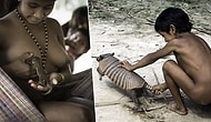 Soyları Tükenmekte Olan Awa Kabilesinin Yaşamını Gözler Önüne Seren 14 Fotoğraf
