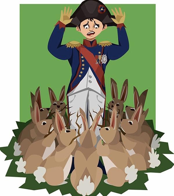 5. Napolyon Bonapart, bir zamanlar tavşan sürüsü tarafından saldırıya uğradı!