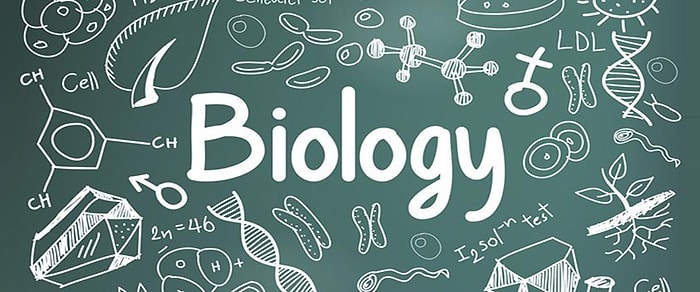 Biyoloji Bölümü 2021 Taban Puanları ve Başarı Sıralamaları