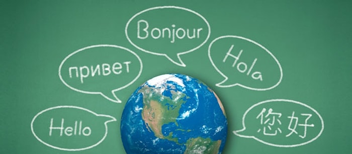 Mütercim-Tercümanlık Bölümü 2021 Taban Puanları ve Başarı Sıralamaları