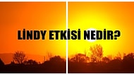 Sık Sık Duyuyoruz! Kripto Borsasında Adı Çokça Geçen Lindy Etkisi Nedir?