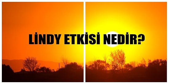 Sık Sık Duyuyoruz! Kripto Borsasında Adı Çokça Geçen Lindy Etkisi Nedir?