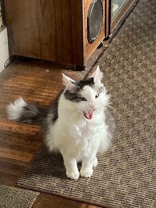 8. Вампиренок