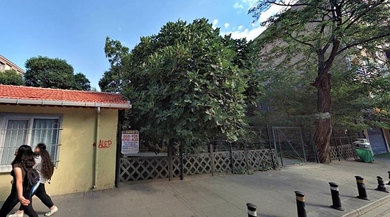 TCDD'den Arazi Kiralanmış: Pendik'te Son Yeşil Alana Cami Yapılacak