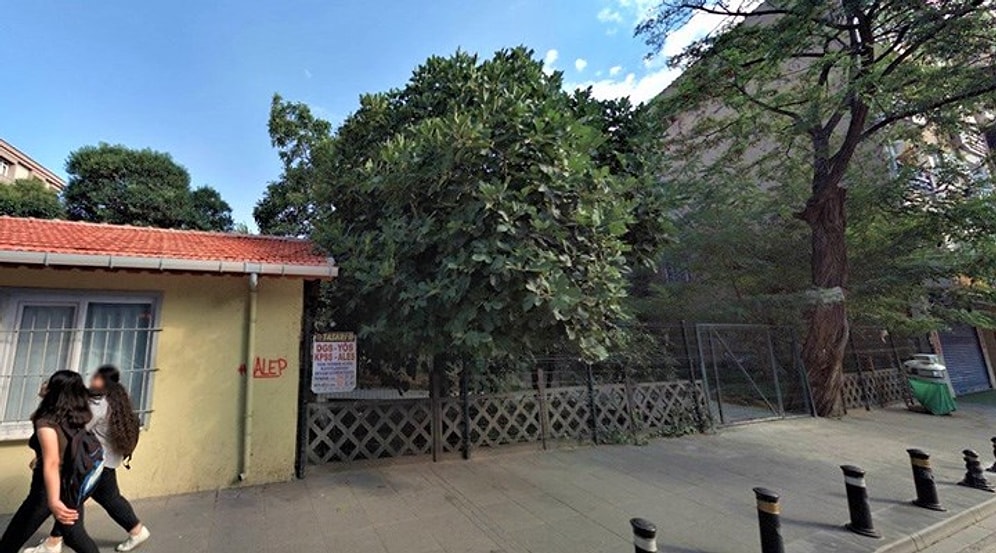 TCDD'den Arazi Kiralanmış: Pendik'te Son Yeşil Alana Cami Yapılacak