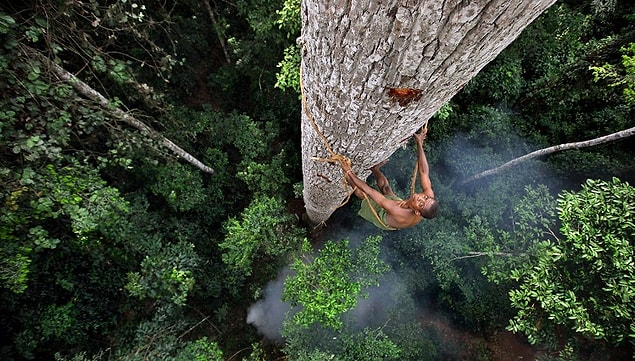 26. Human Planet (2011)
