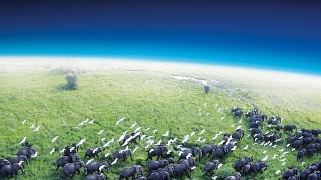 2. Planet Earth (2006)