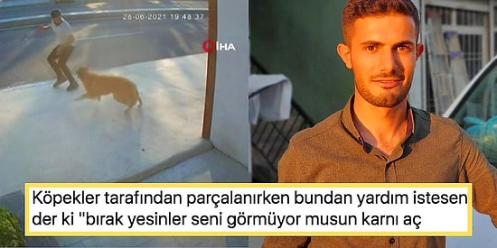 Köpekten Kaçarken Kamyon Çarpıp Hayatını Kaybeden Vatandaşın Ardından Yapılan Tepki Çeken İnanılmaz Paylaşım