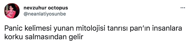 14. 👇