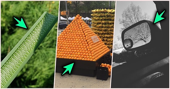 Herkesin Gündelik Zamanlarda Bile Mükemmelliği Bulabileceğini Kanıtlayan Birbirinden Rahatlatıcı 21 Fotoğraf