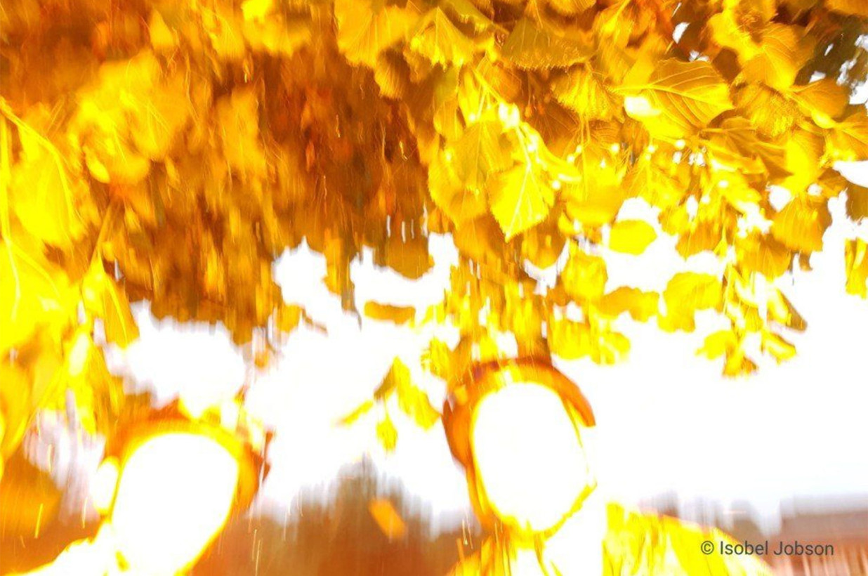 s-acdf7ea04fd536c917f1516e0c755b3d8c4a7191.jpg