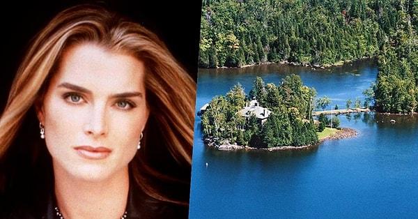24. Kariyerinin başından beri güzelliğiyle dillere destan olmuş oyuncu Brooke Shields'ın da New York'ta kendisine özel Emerald isminde bir adası var.