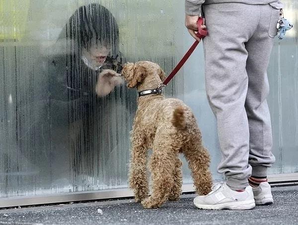 2. 2011 yılında Japonya'da gerçekleşen Fukuşima Nükleer Santrali kazası sonrası geçici olarak karantinaya alınan bir çocuk, aralarındaki cama rağmen köpeğiyle oynuyor.