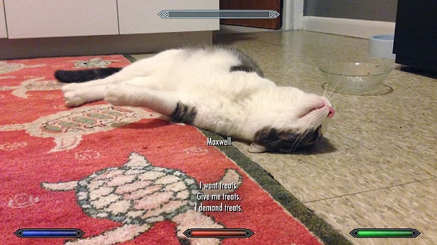 23. Bazı görevlerin sonu hiç gelmiyor, tıpkı Skyrim'de olduğu gibi.