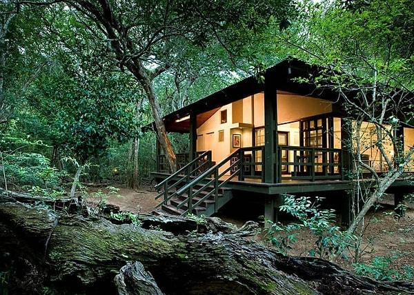 5. Phinda Forest Lodge - Güney Afrika