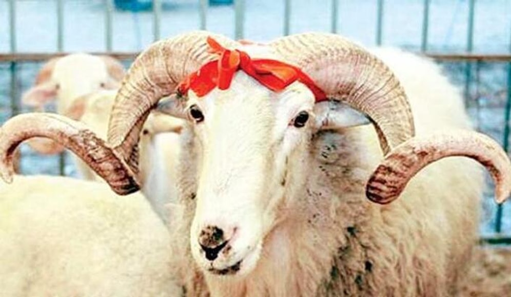 Kurban Bayramı Tatili Ne Zaman Başlıyor? Kurban Bayramı Tatili Kaç Gün?