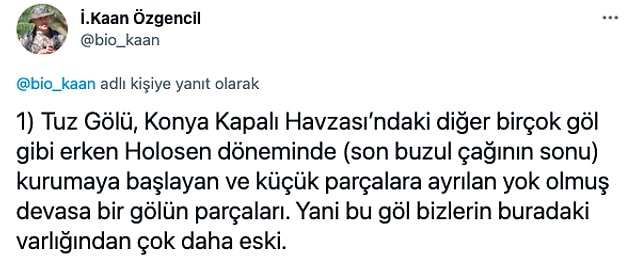 İşte adım adım flamingo mezarlığına dönüşen Tuz Gölü'nün akıbeti: