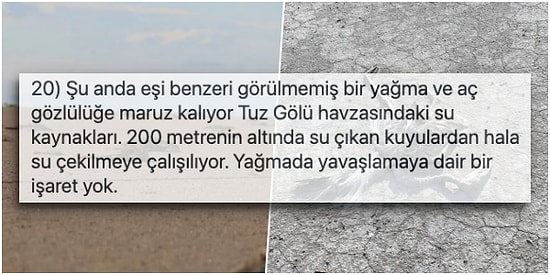 Açgözlülük ve Yağma Yüzünden Binlerce Flamingonun Ölümüne Nasıl Sebep Olduğumuzu Anlatan Biyolog