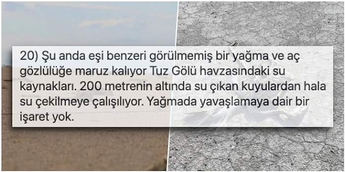 Açgözlülük ve Yağma Yüzünden Binlerce Flamingonun Ölümüne Nasıl Sebep Olduğumuzu Anlatan Biyolog