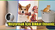Patili Evler El Kaldırsın! Aldığınız Anda Şükredeceğiniz 21 İşe Yarar Evcil Hayvan Ürünü