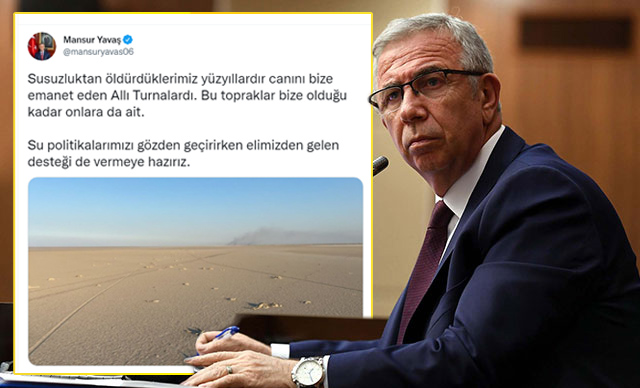 s-62c2561b9876a8c5edef7cc8f40d084528297483.jpg
