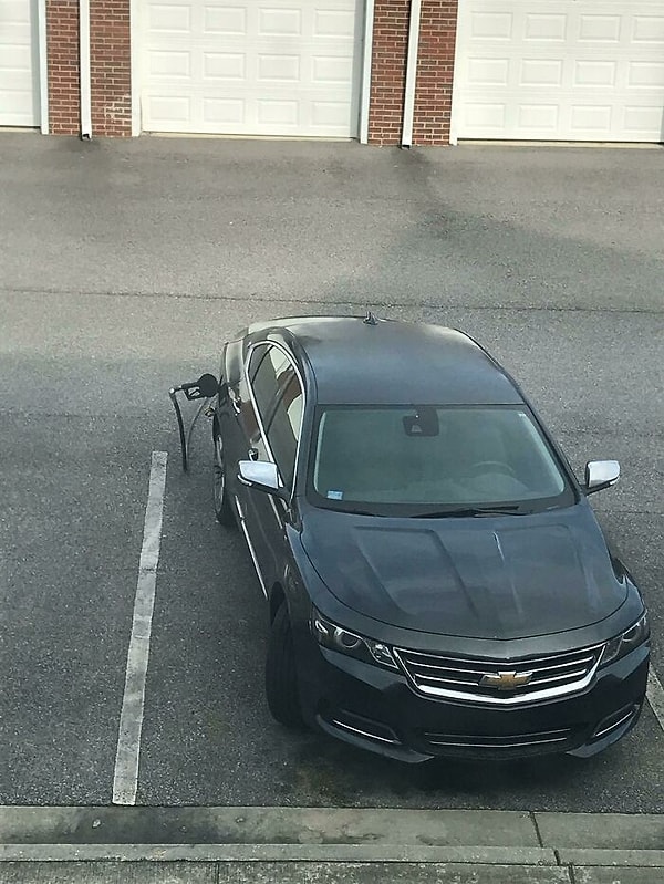 13. Мой забывчивый сосед