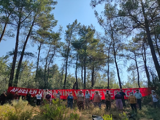 Maden İçin Gözden Çıkarılan Akbelen Ormanı'nda Ağaç Kıyımı Başladı, Köylüler Nöbet Tutuyor