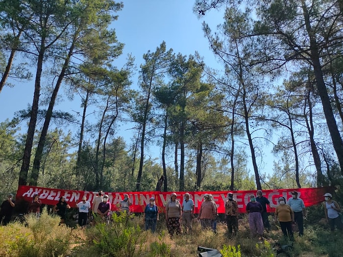 Maden İçin Gözden Çıkarılan Akbelen Ormanı'nda Ağaç Kıyımı Başladı, Köylüler Nöbet Tutuyor