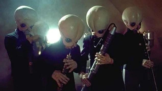 “Hepimizle ve var olan her şeyle ilgileniyorlar. Kültürümüzle ilgili şeyler de hoşlarına gidiyor. Bazı müzik türlerimizi seviyorlar. Bluegrass (Country müzik türü) gördüğüm kadarıyla en sevdikleri.”