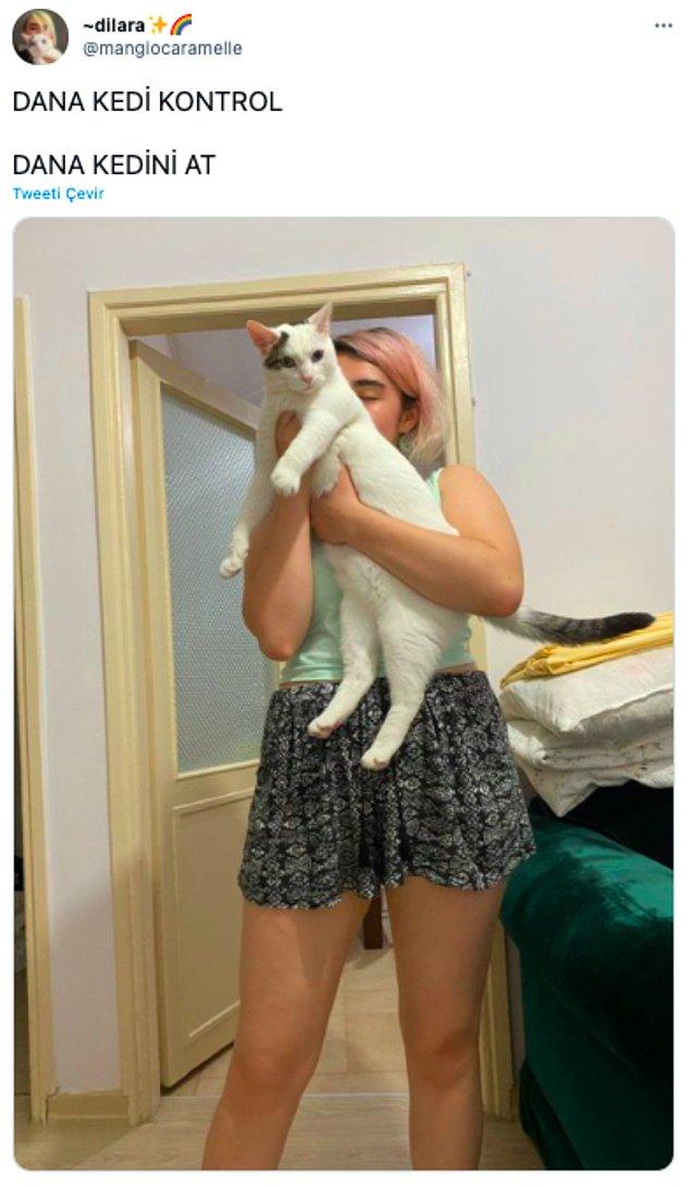 Twitter'da Dilara adlı bir kullanıcının 'dana kedi kontrol, dana kedini at' yazdığı tweeti saniyeler içerisinde viral oldu.