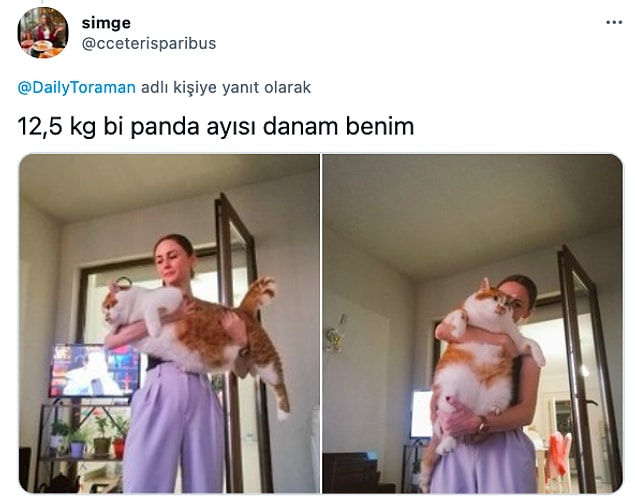 17.