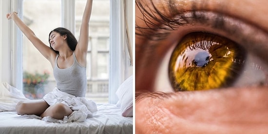 15 самых интересных фактов о человеческом теле, напоминающие о том, как оно уникально