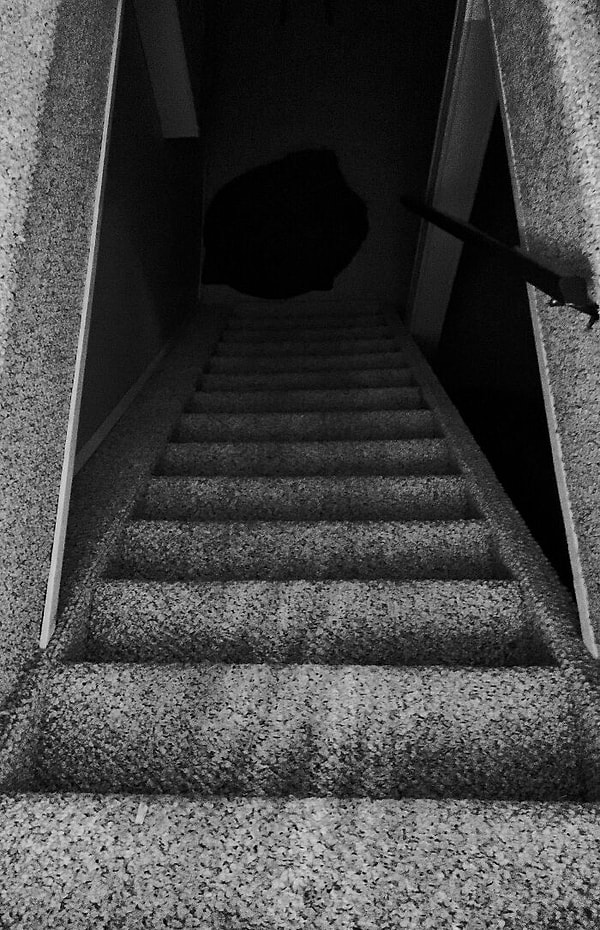 7. В фильмах ужасов, когда что-то страшное случается, то все бегут наверх. Ало, неужели нельзя просто выйти из дома? Или просто включить свет