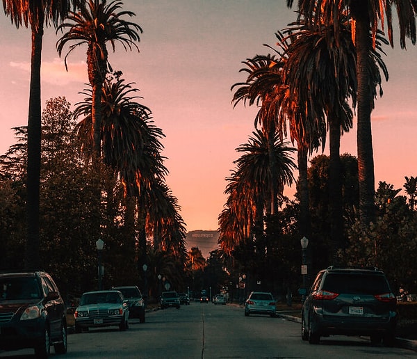 10. Быть молодым начинающим художником / писателем / актером, живущим в одиночестве в красивой, просторной квартире в престижном районе большого города, такого как Нью-Йорк или Лос-Анджелес