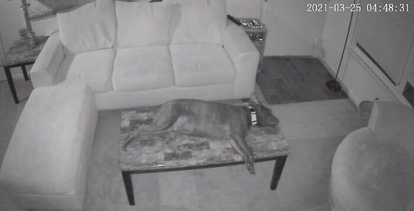 8. Когда дом пуст