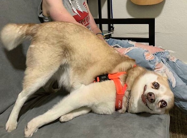 9. Кажется он сломался