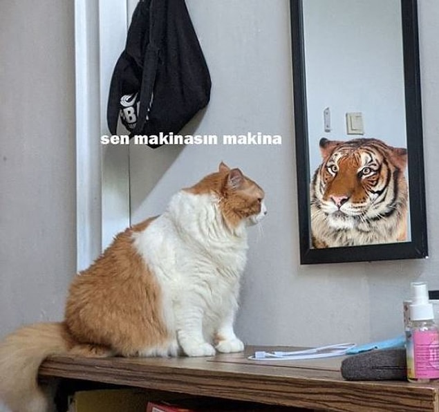 16. Kendimize güvenmeliyiz!