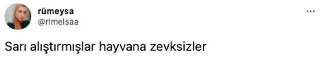 5. 👇